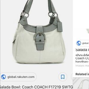 Coach F17219 Bag
